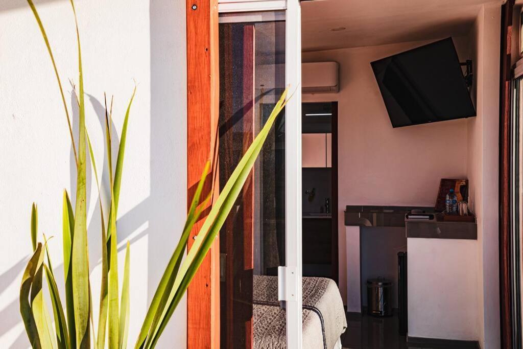 Cabana El Alamo Con Jacuzzi Villa Вале де Гуадалупе Екстериор снимка